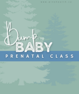 Book an Appointment with Bump to Baby at Pine Integrated Health Centre- Edmonton