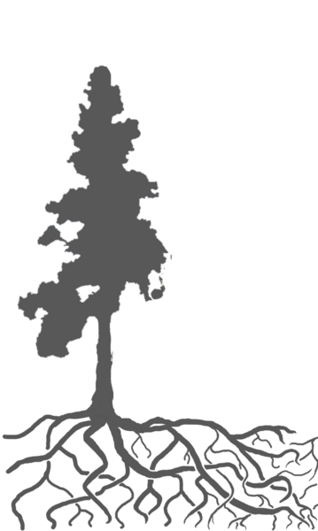 Ponderosa Counselling Services